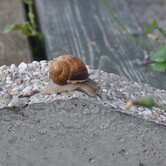 Vymávaný beton šnek_